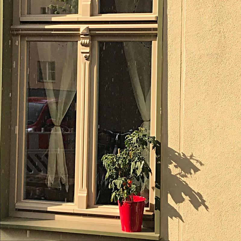 Kamp Blick Ins Grüne